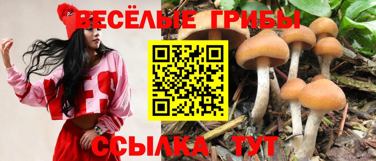 Псилоцибиновые грибы MAGIC MUSHROOMS Муравленко